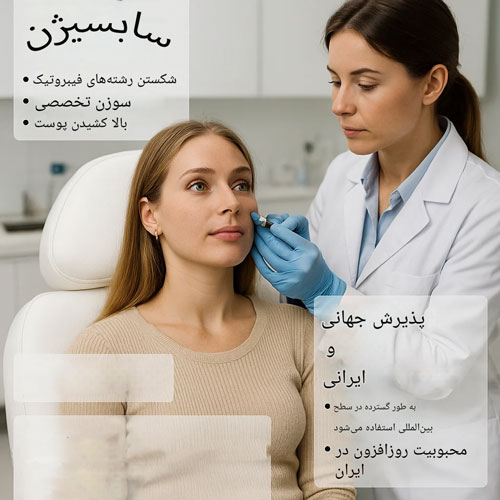 سابسیژن-چیست