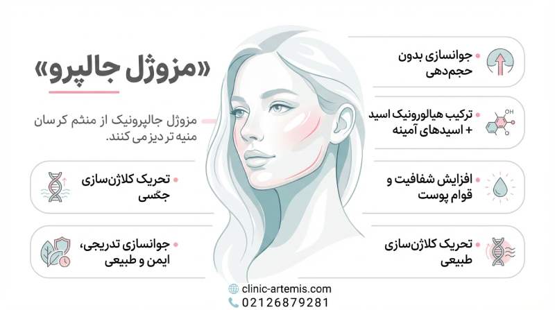 مزوژل جالپرو